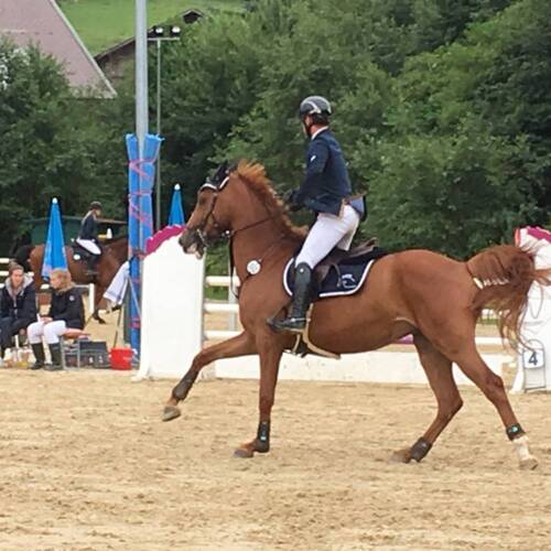 Description de l'image