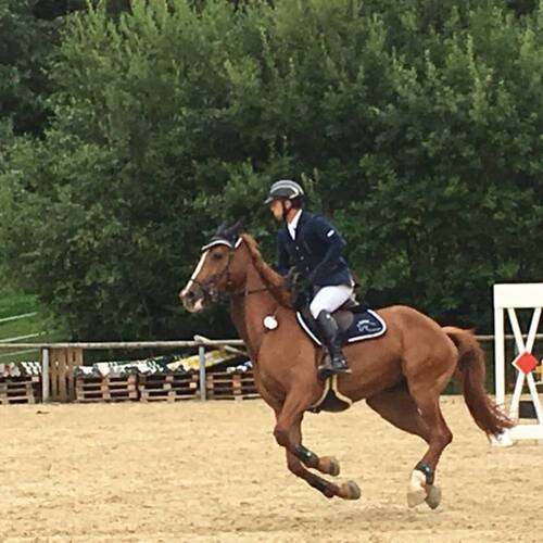 Description de l'image