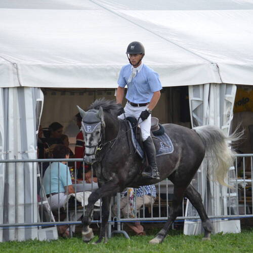 Description de l'image