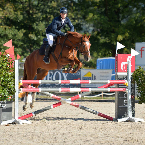 Description de l'image