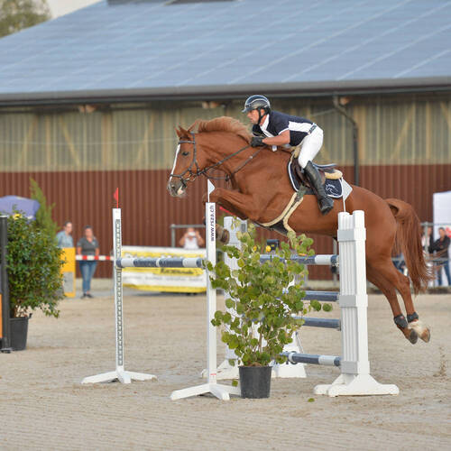 Description de l'image