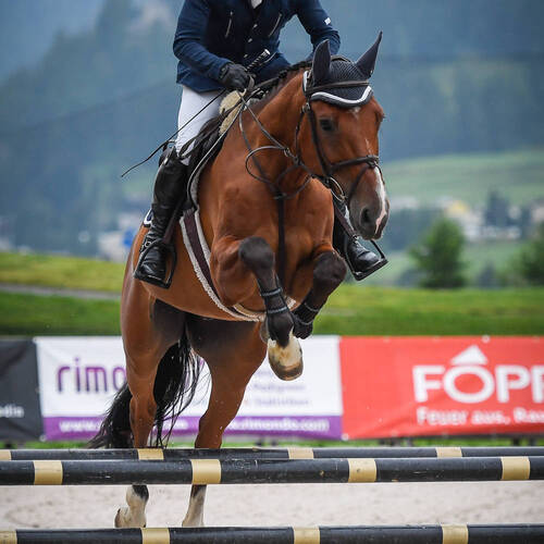 Description de l'image