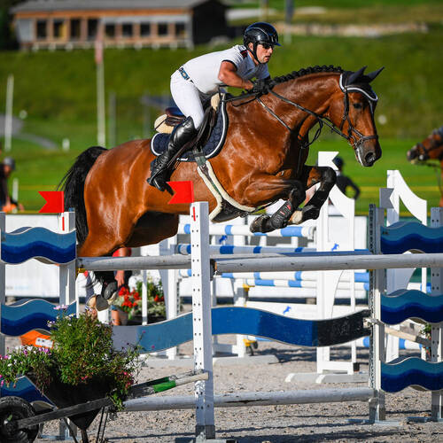 Description de l'image