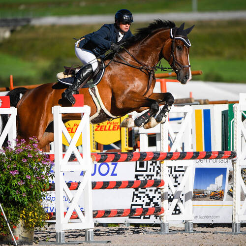 Description de l'image