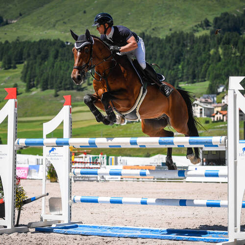 Description de l'image