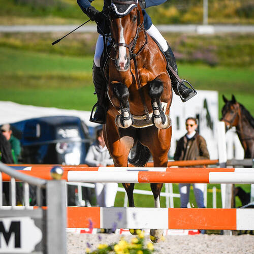 Description de l'image