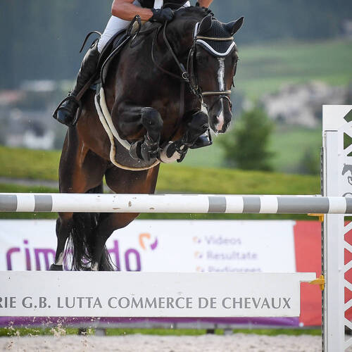 Description de l'image